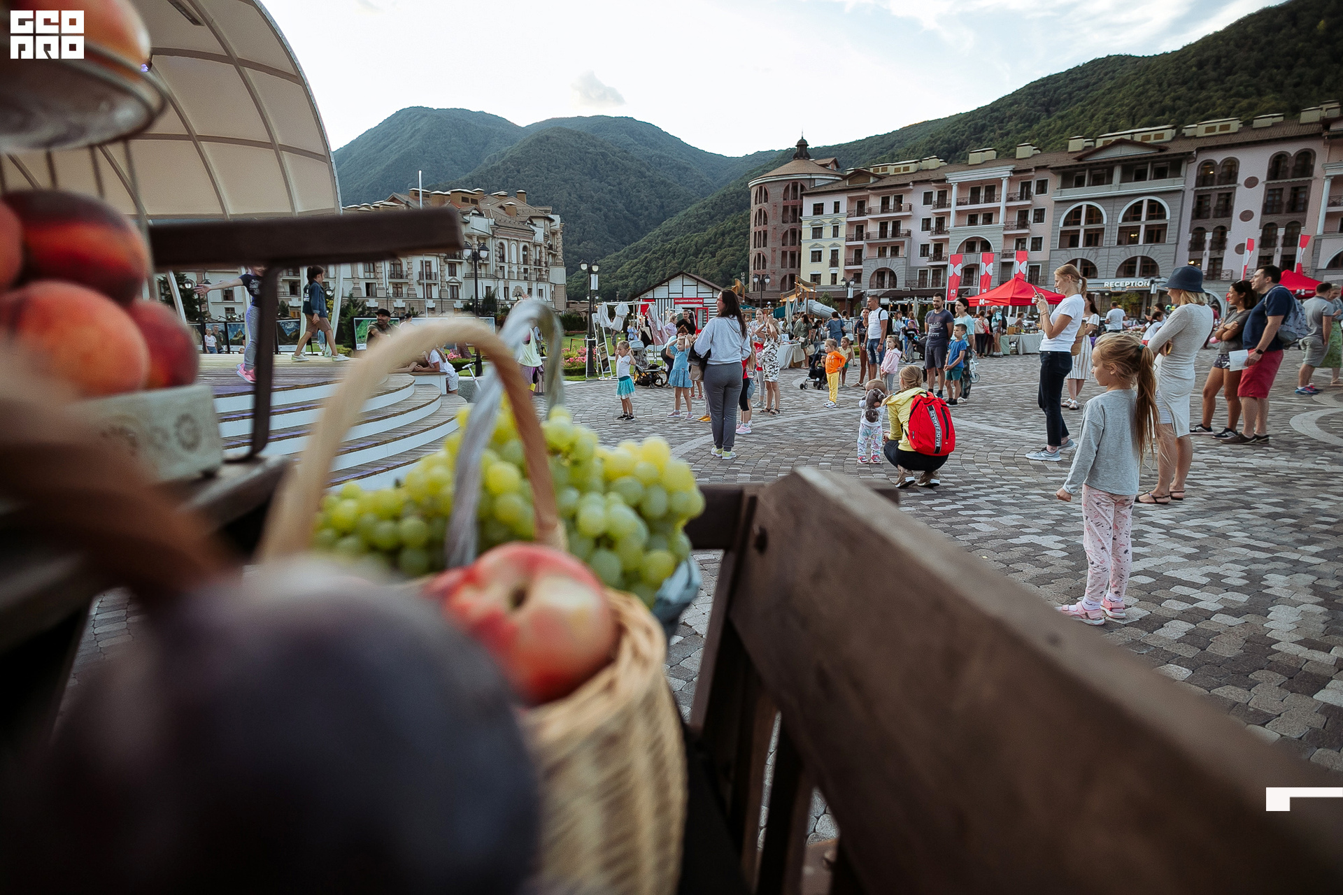 AI2V7055-85 копия.jpg