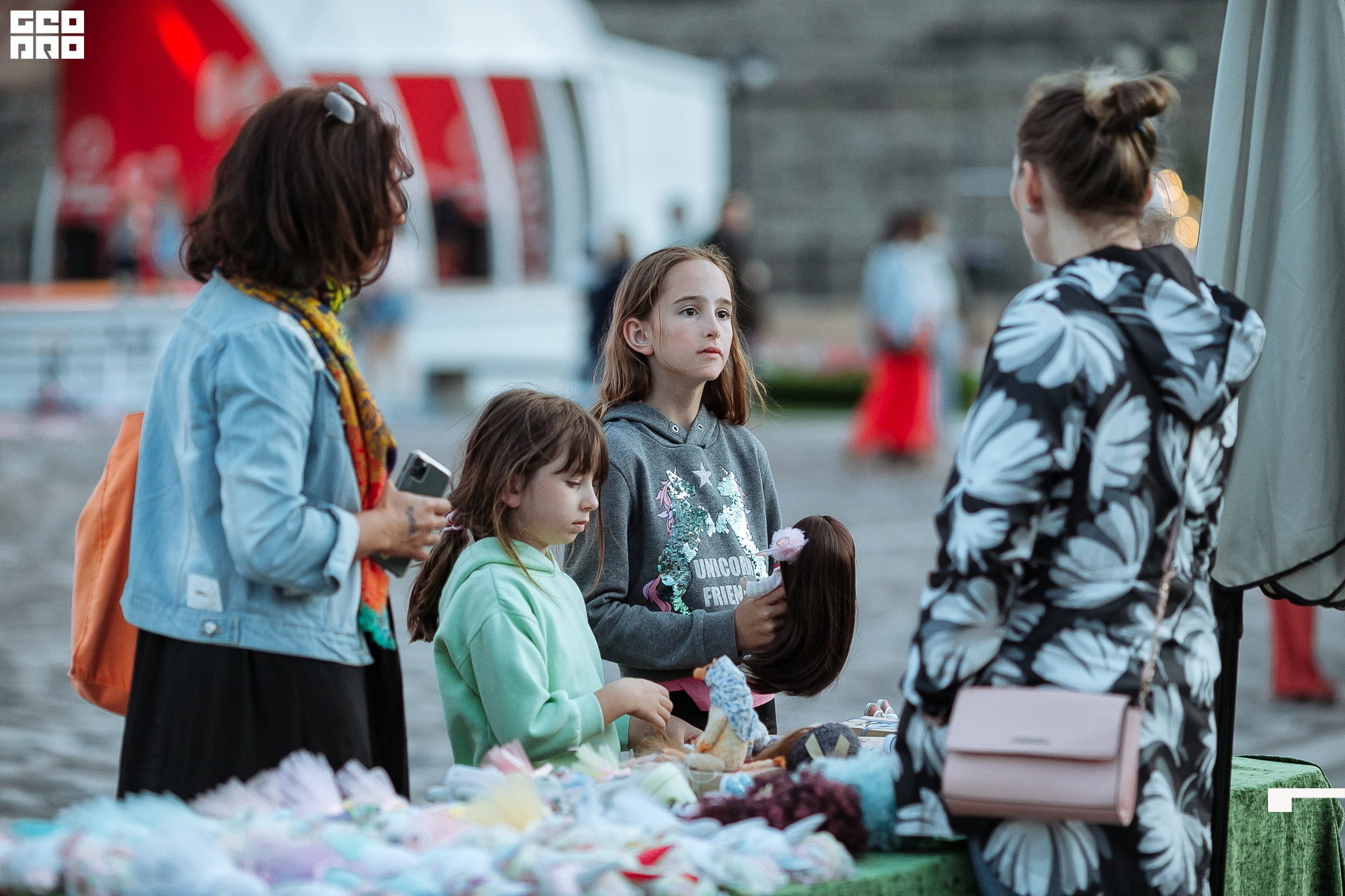 AI2V7266-101 копия.jpg