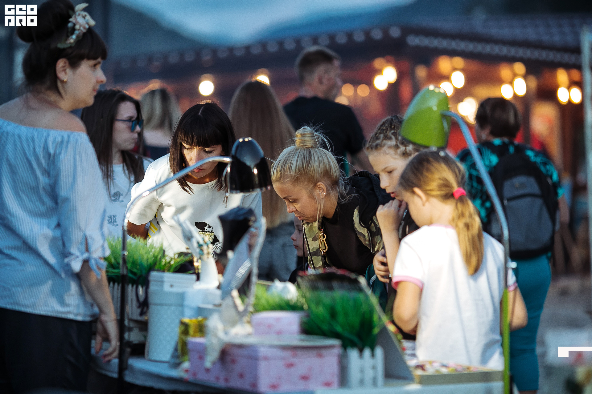 AI2V7302-104 копия.jpg