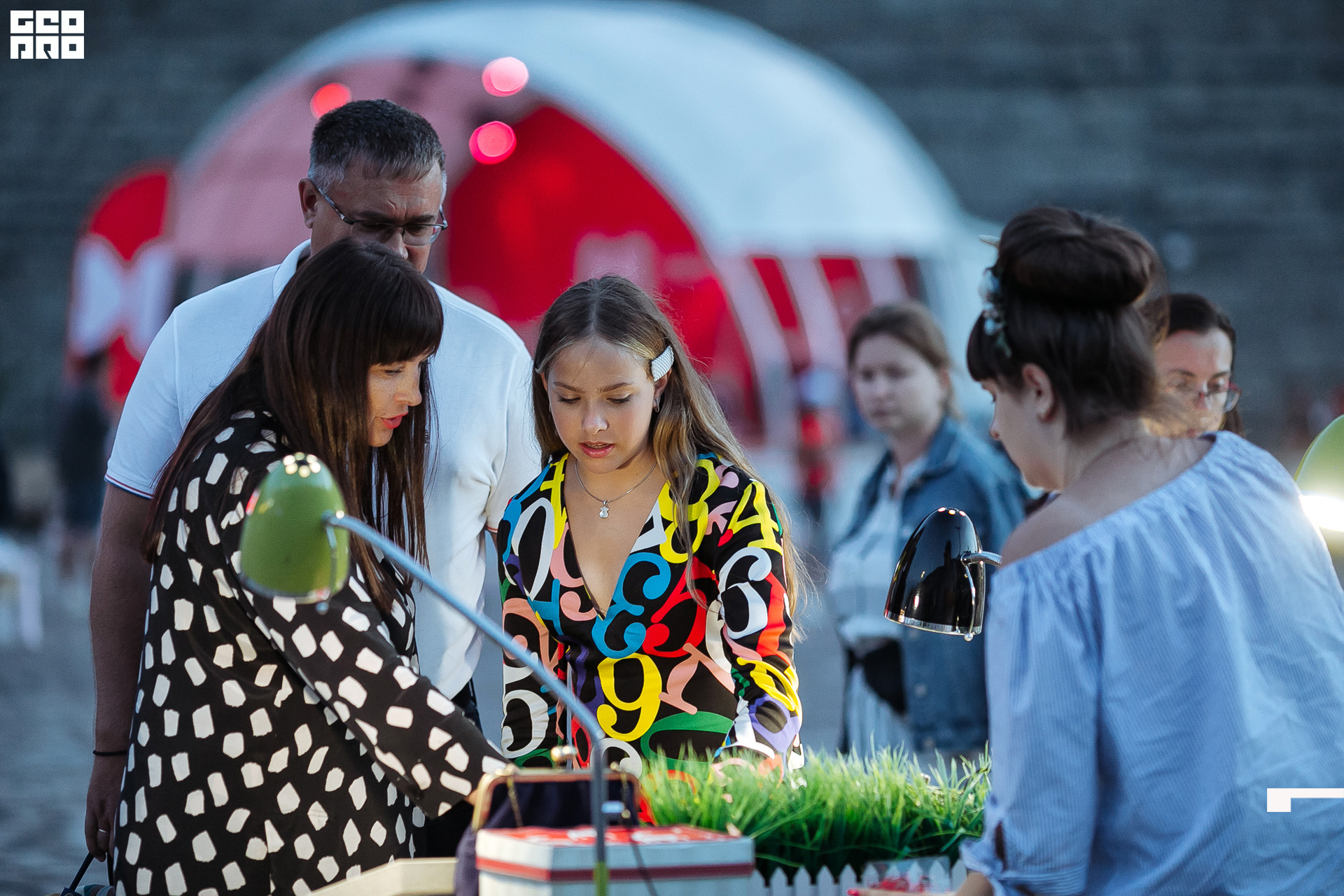 AI2V7317-106 копия.jpg