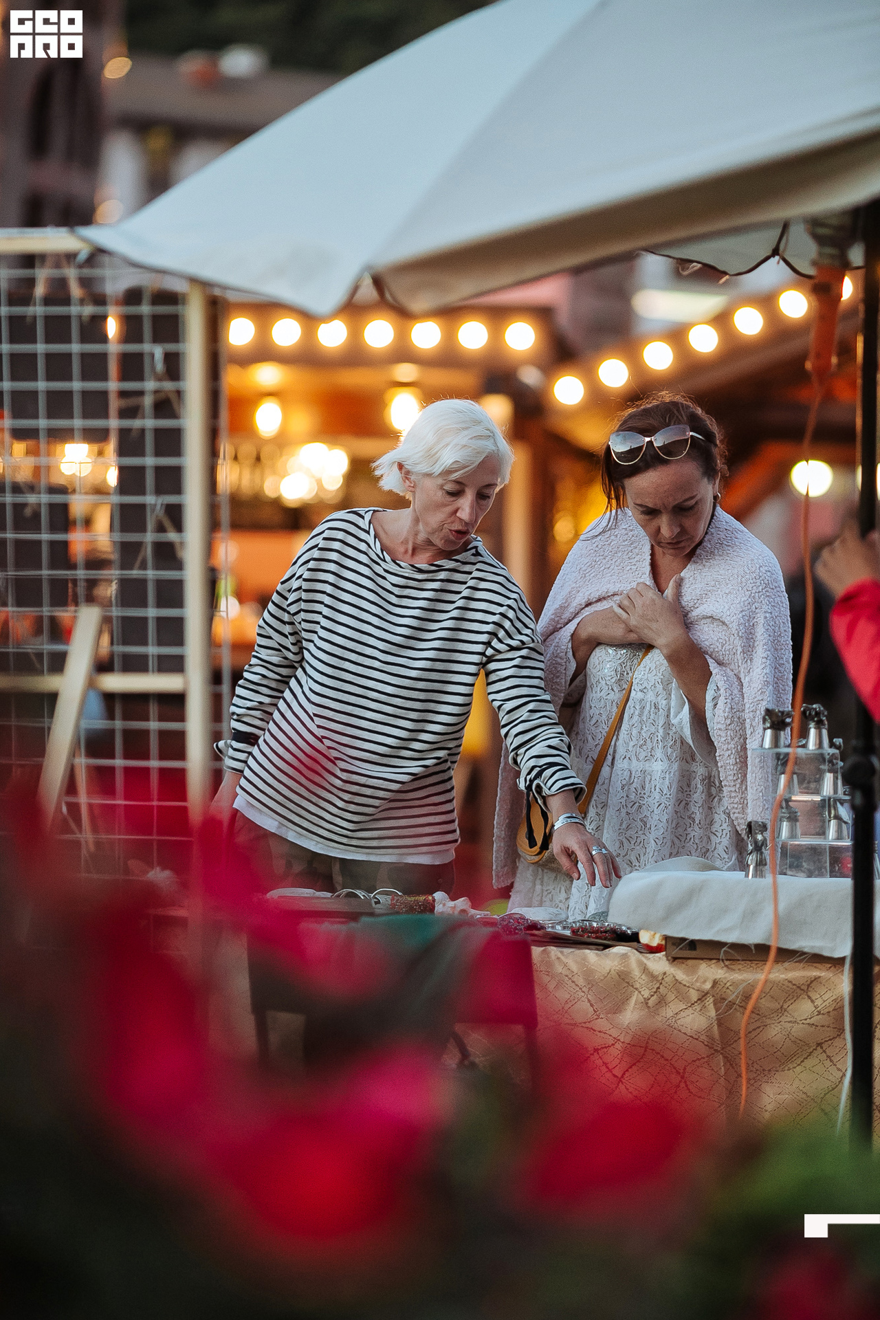 AI2V7336-110 копия.jpg