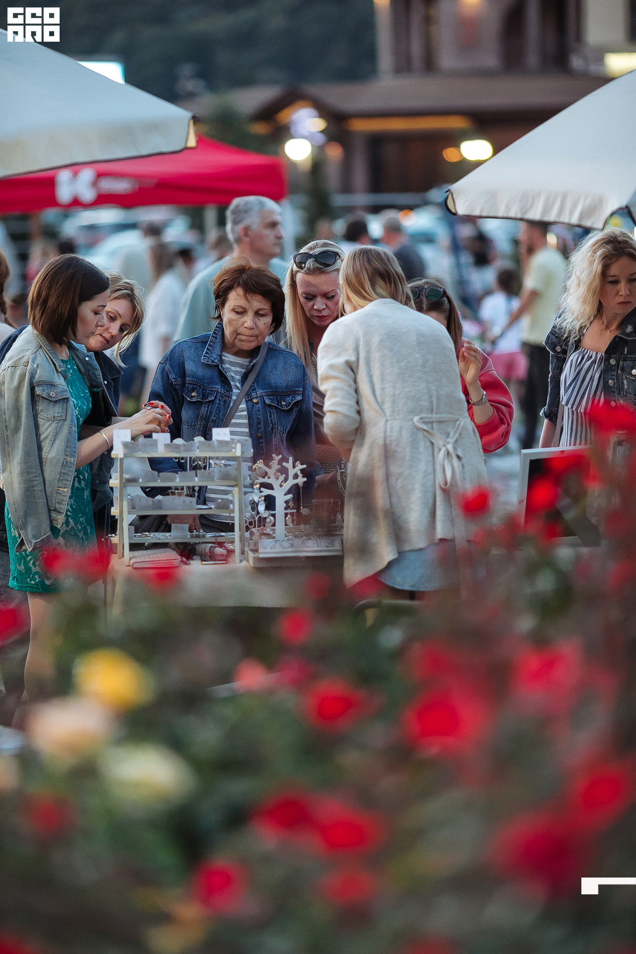 AI2V7386-113 копия.jpg