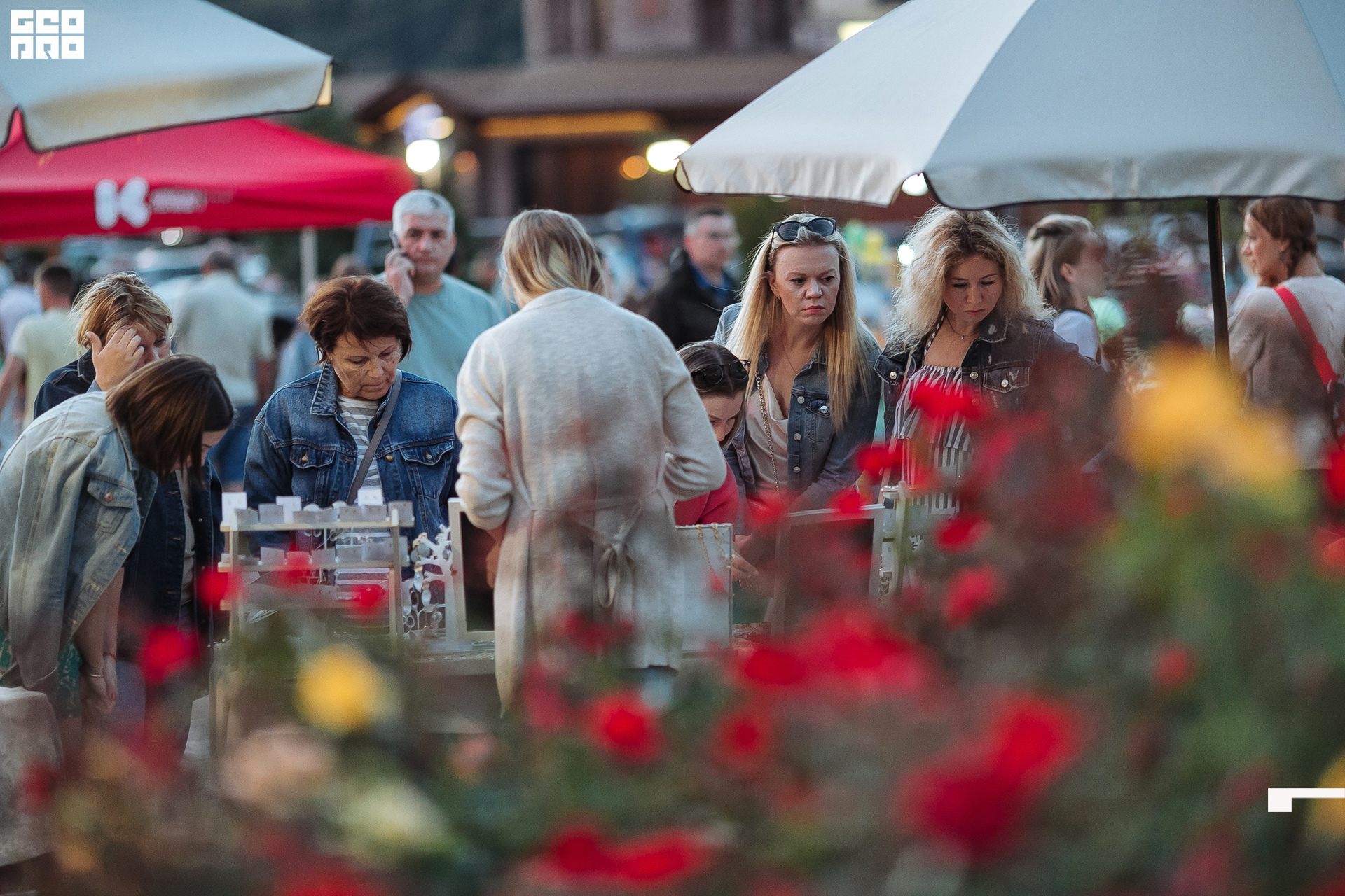 AI2V7395-114 копия.jpg