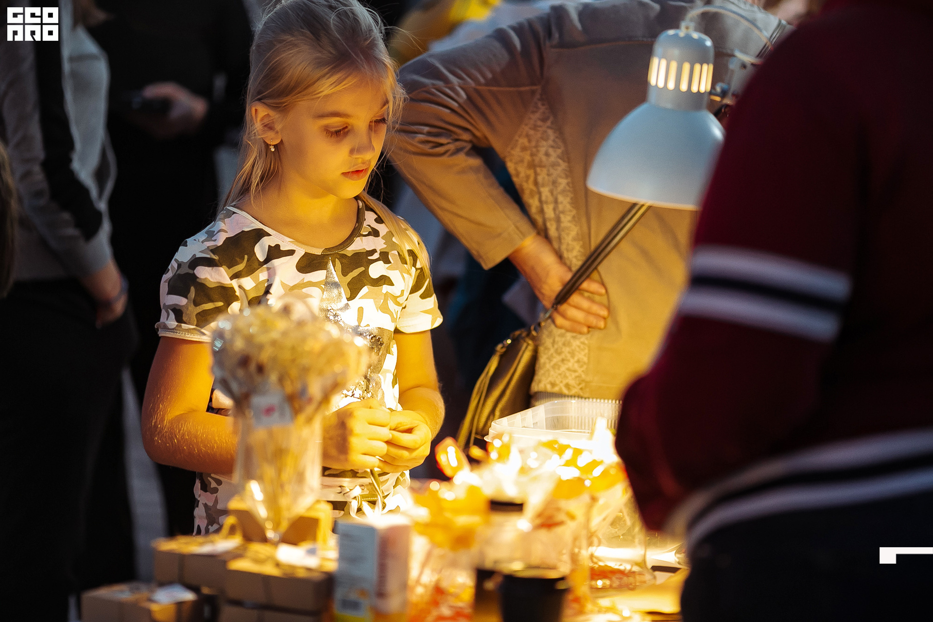 AI2V7478-119 копия.jpg