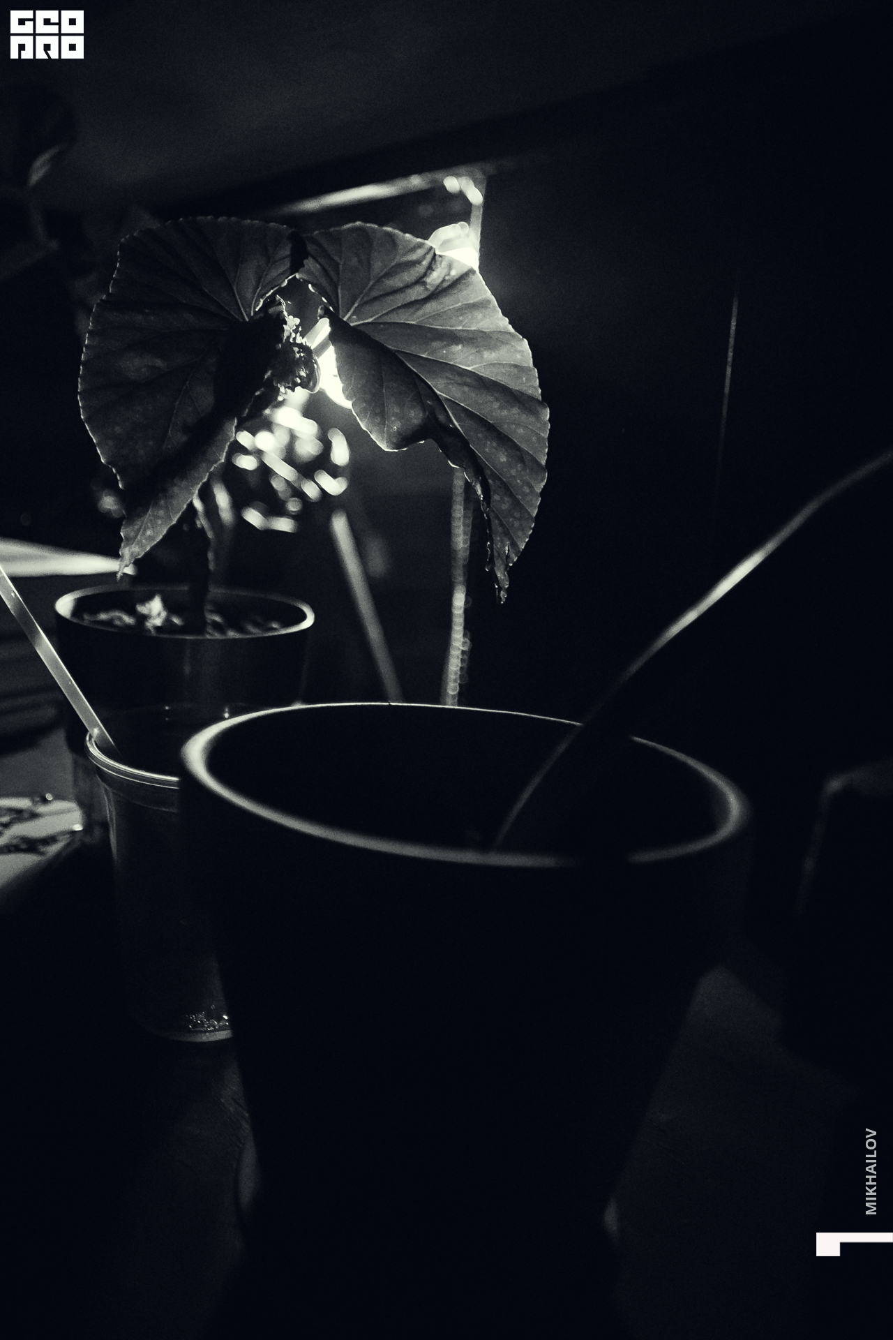 034-06-09-2020-02-04- Flashback - Mikhalov - 1920.jpg