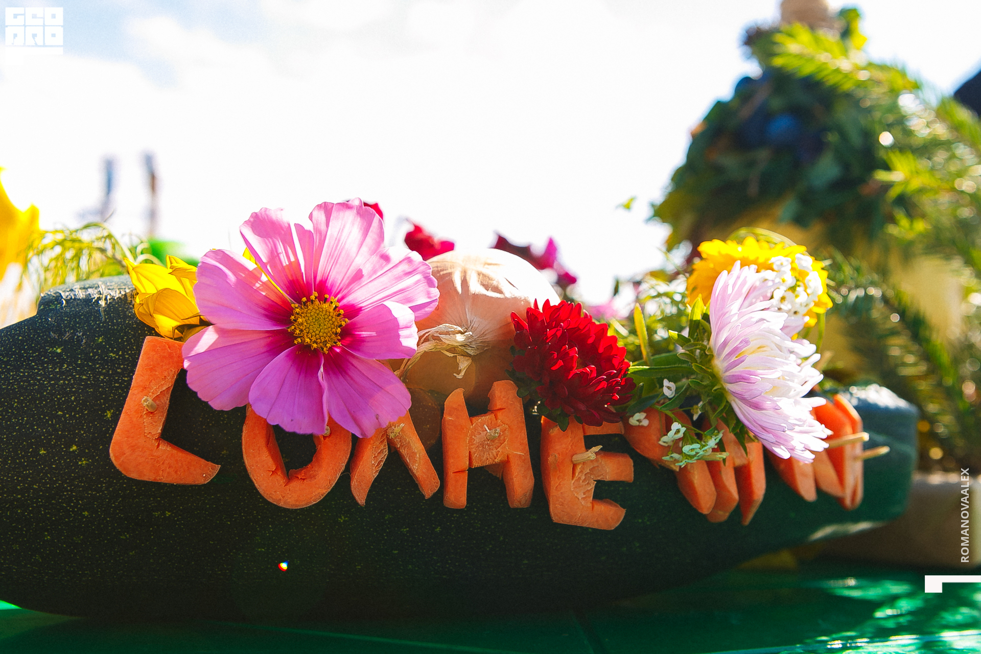 002 200913 125715 _Романова.jpg