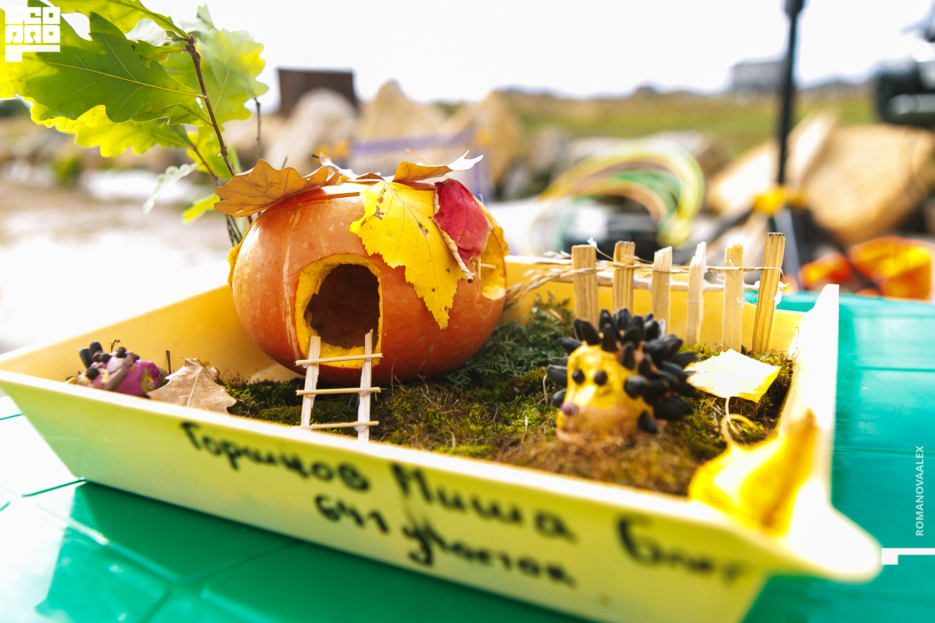 015 200913 121825 _Романова.jpg