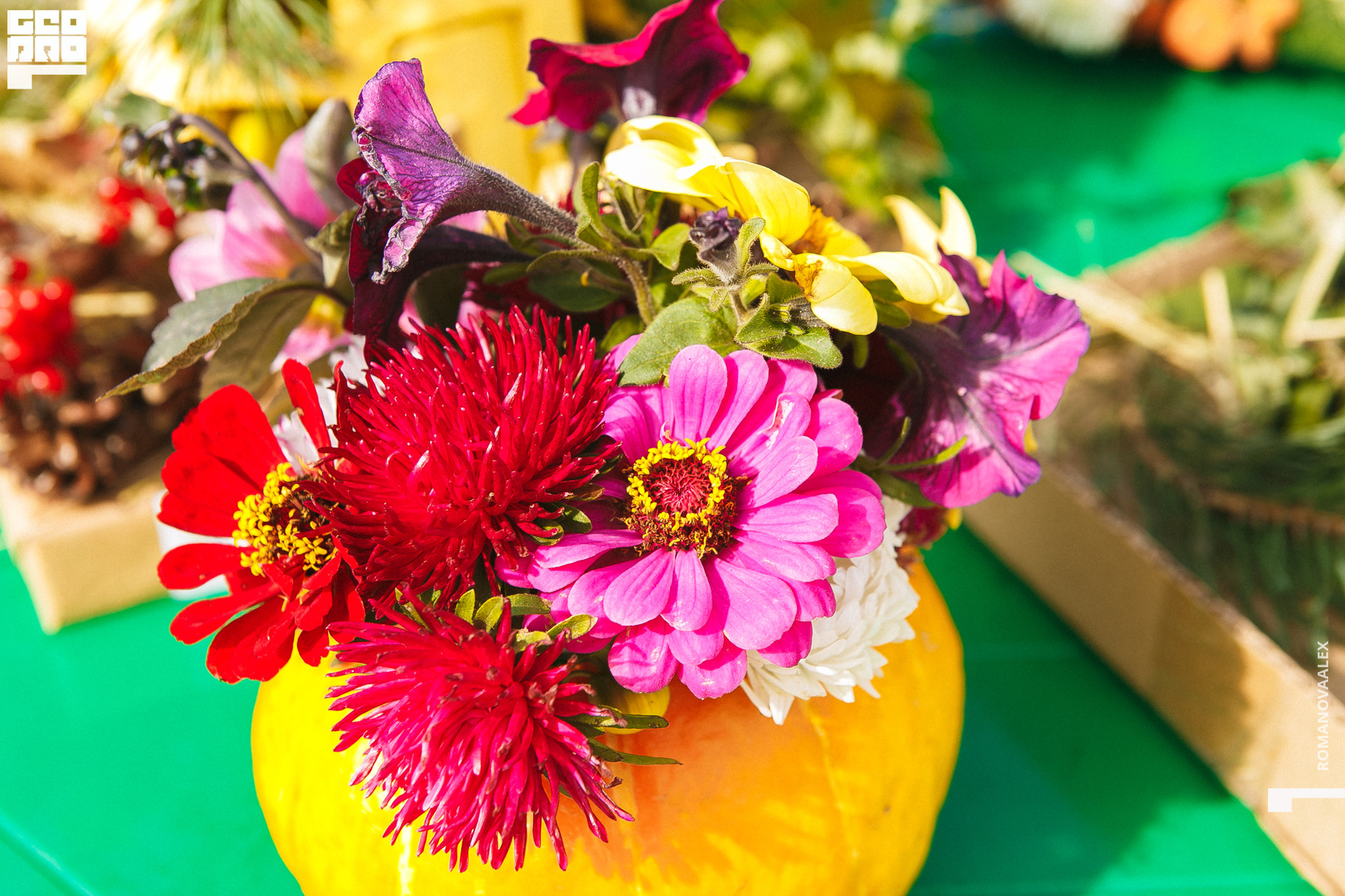 032 200913 123257 _Романова.jpg