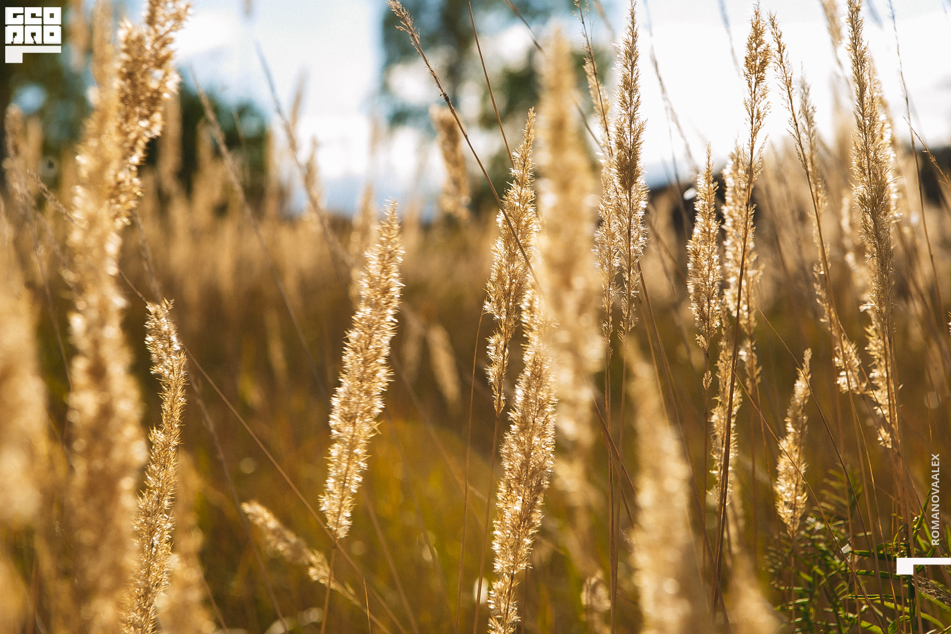 001 200913 160650 _Романова.jpg