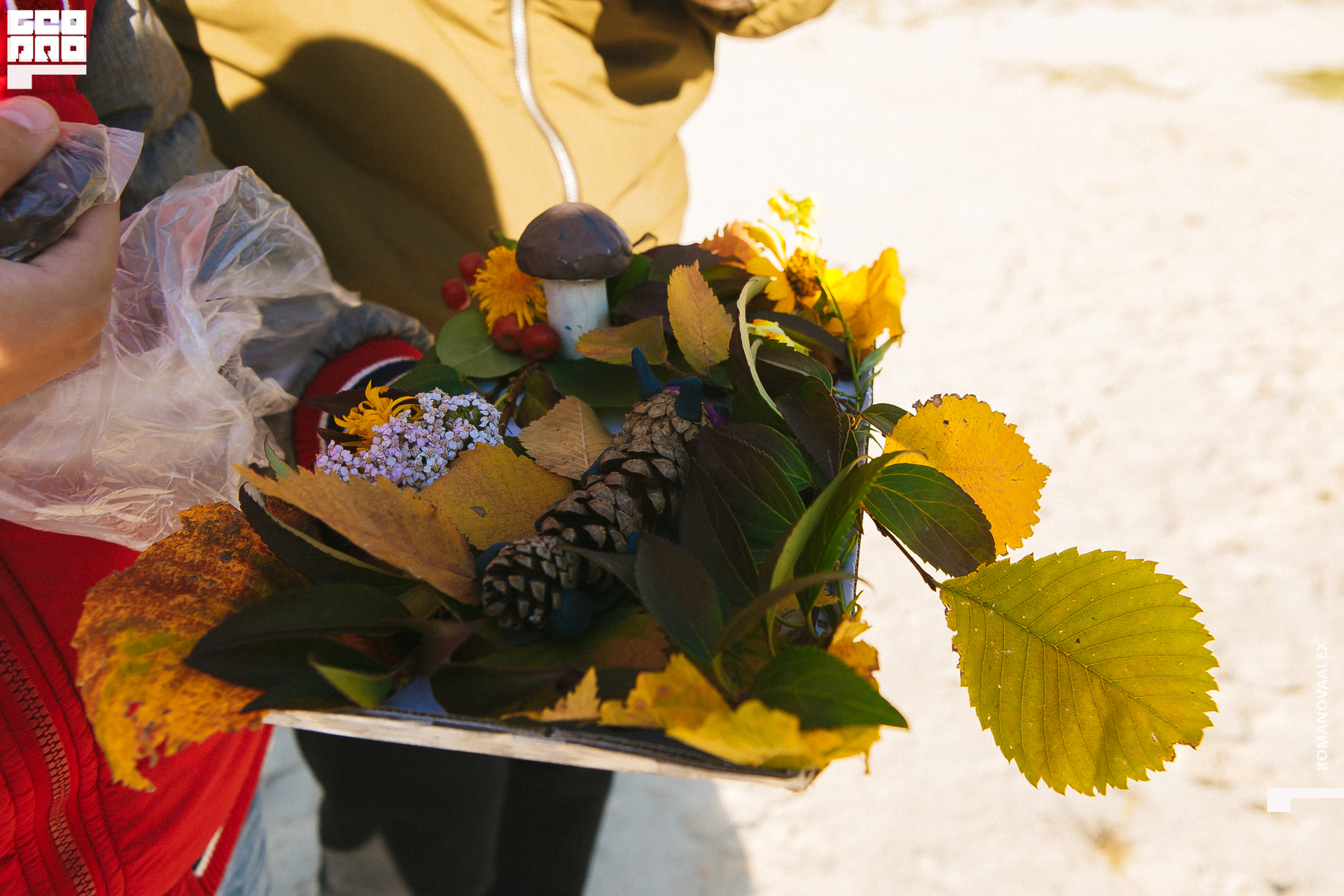 008 200913 162050 _Романова.jpg