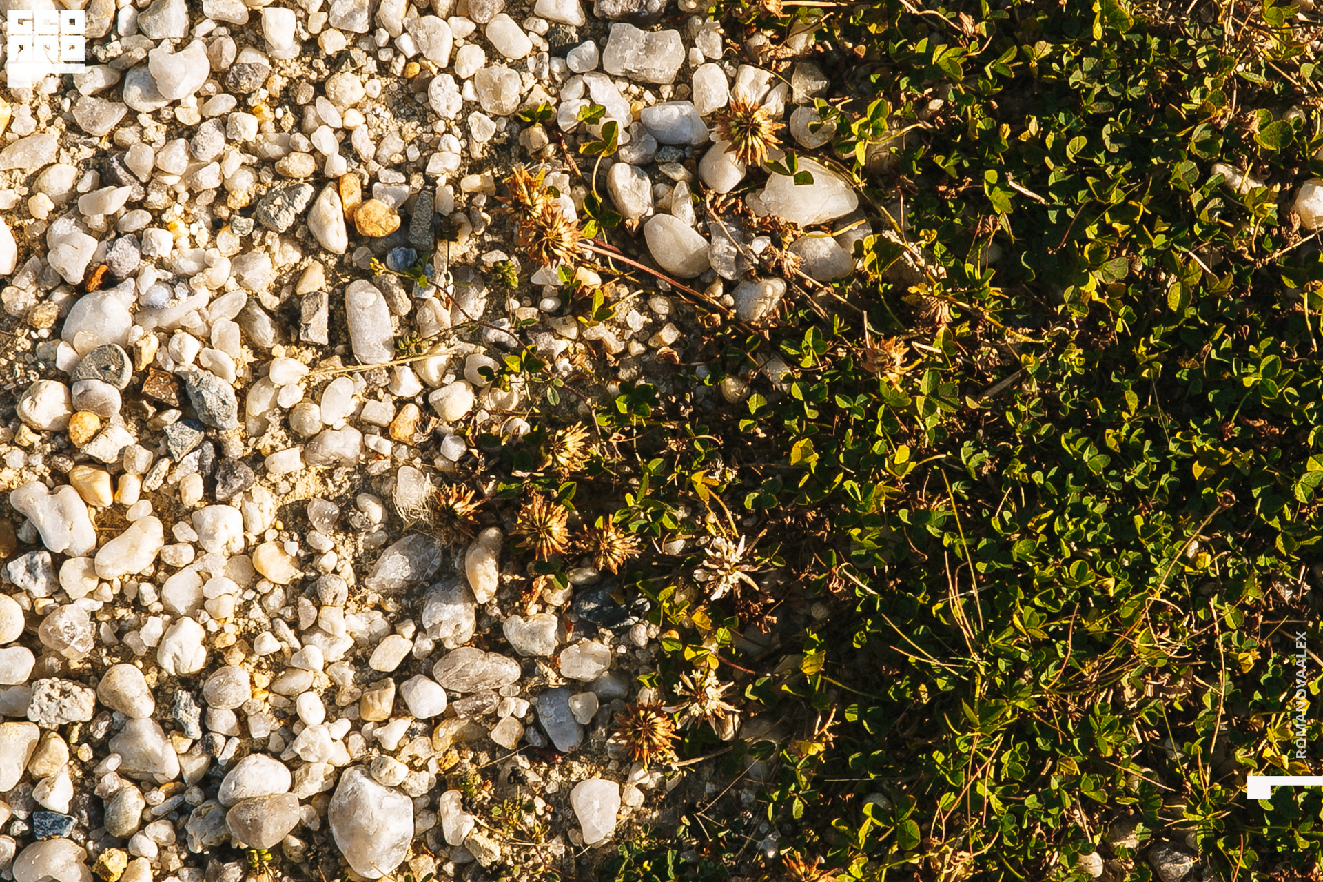 009 200913 161027 _Романова.jpg