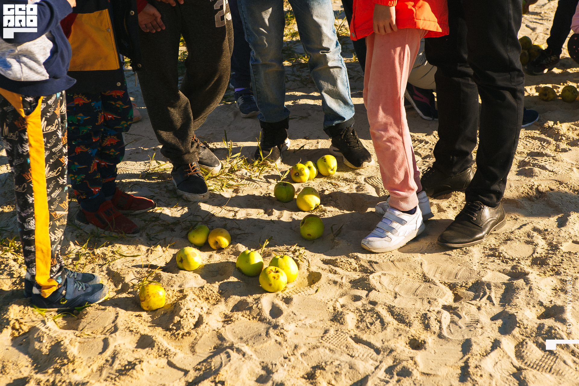 106 200913 170914 _Романова.jpg