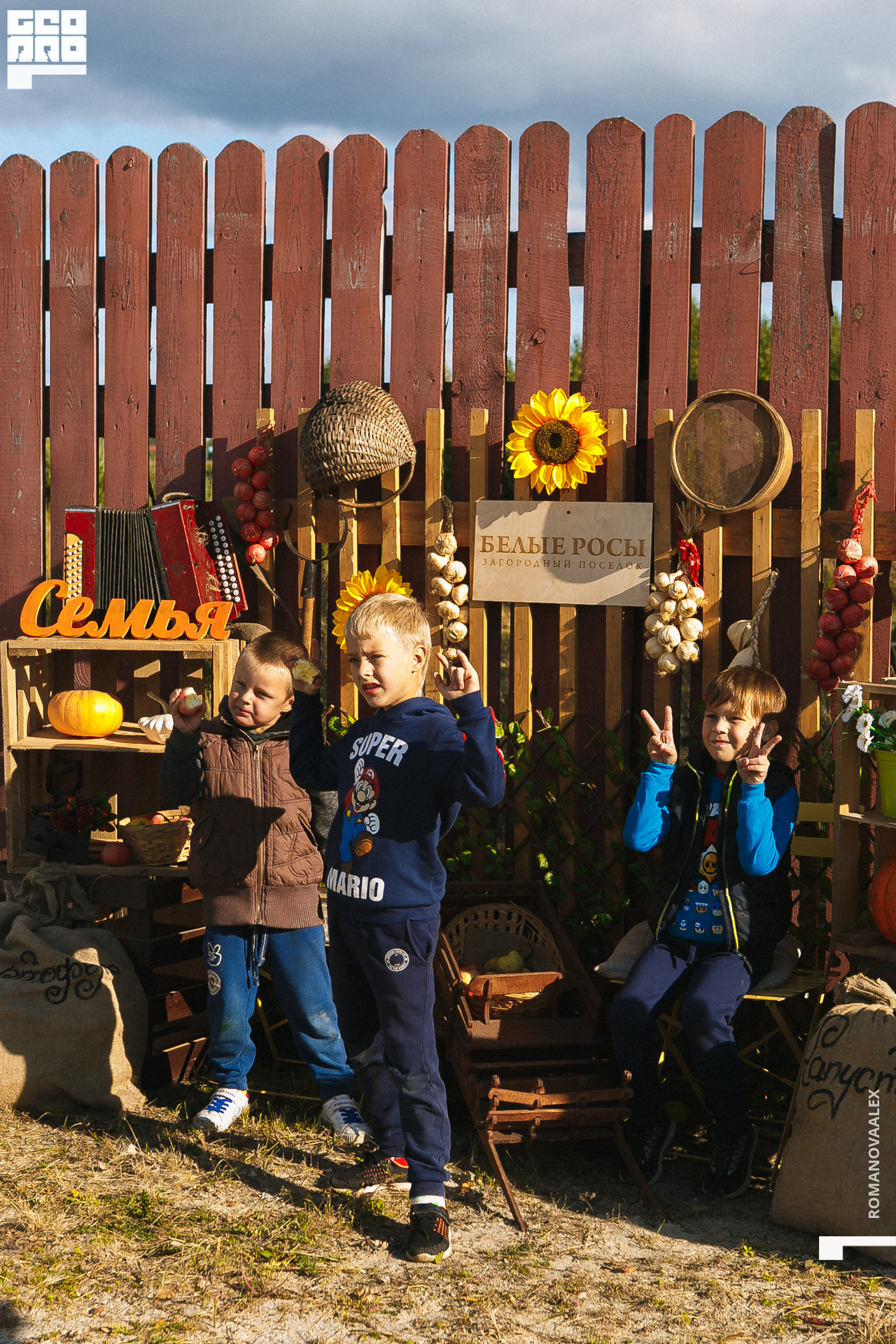 132 200913 162133 _Романова.jpg