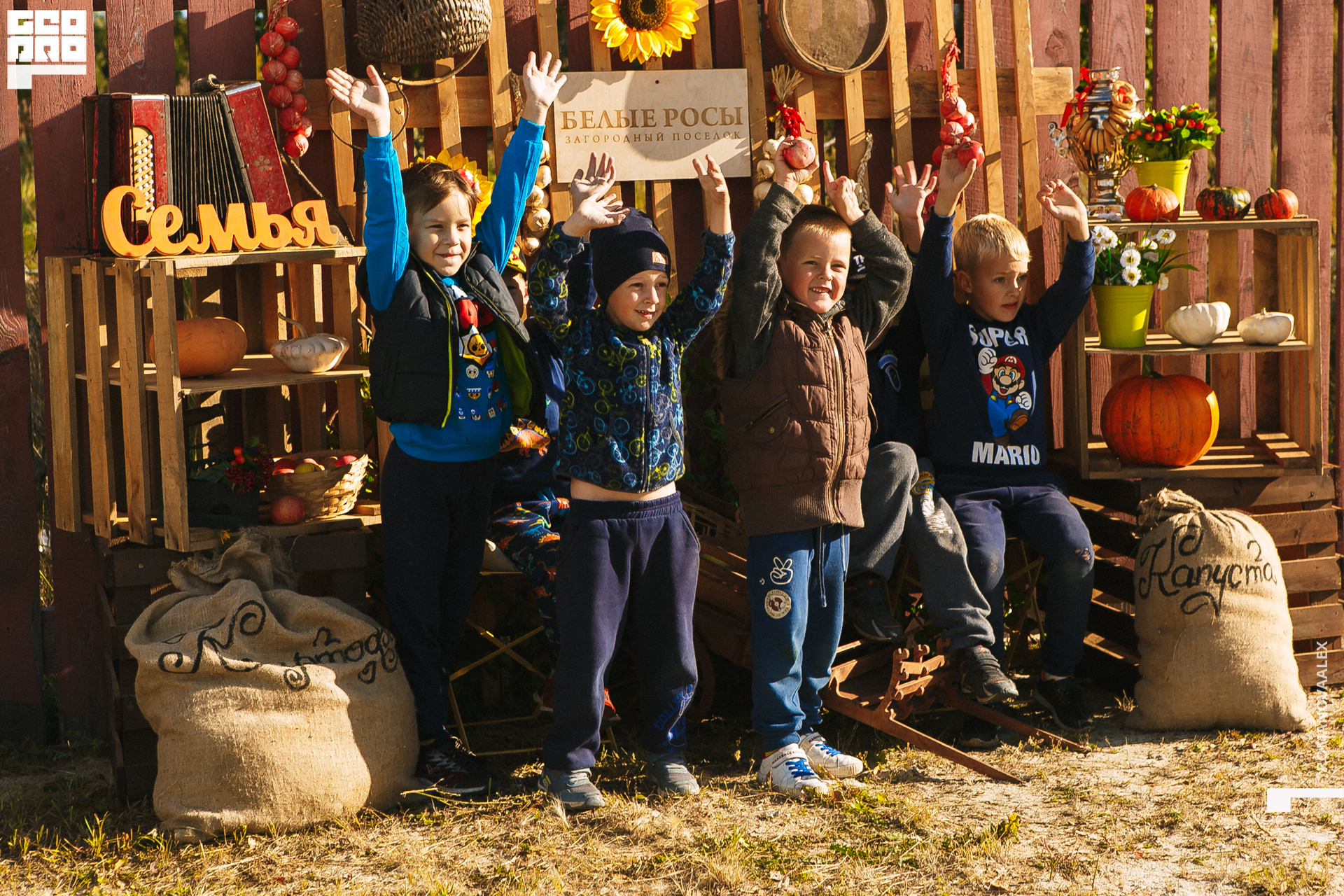 133 200913 161916 _Романова.jpg