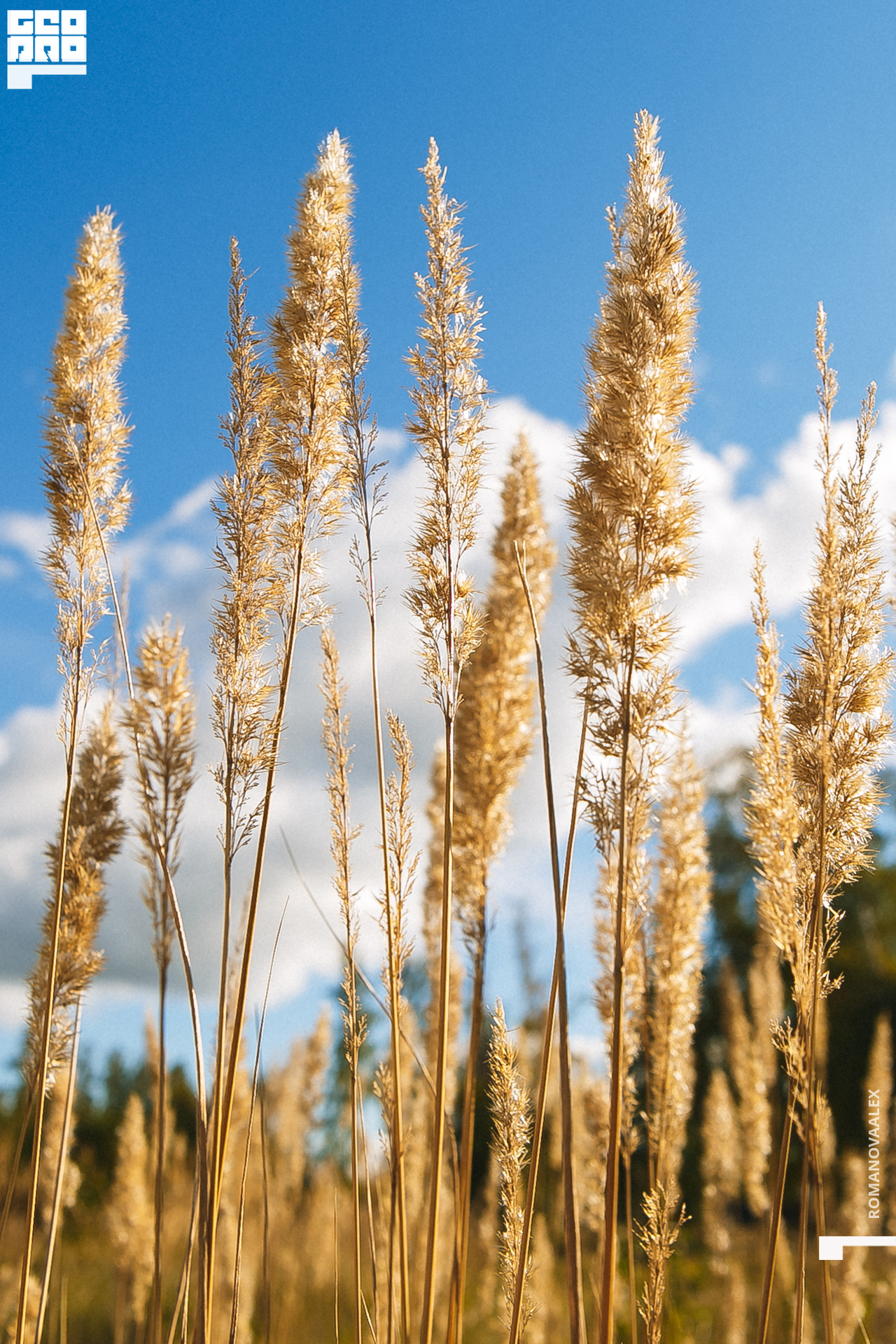 138 200913 160707 _Романова.jpg