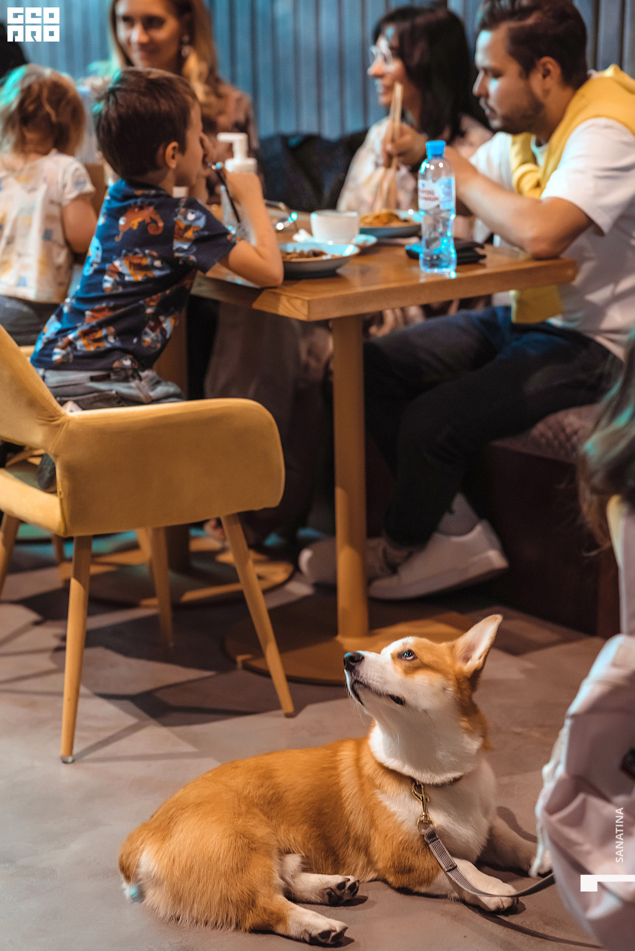 0021_2020-09-11_20-21-24 - Sanatina.jpg