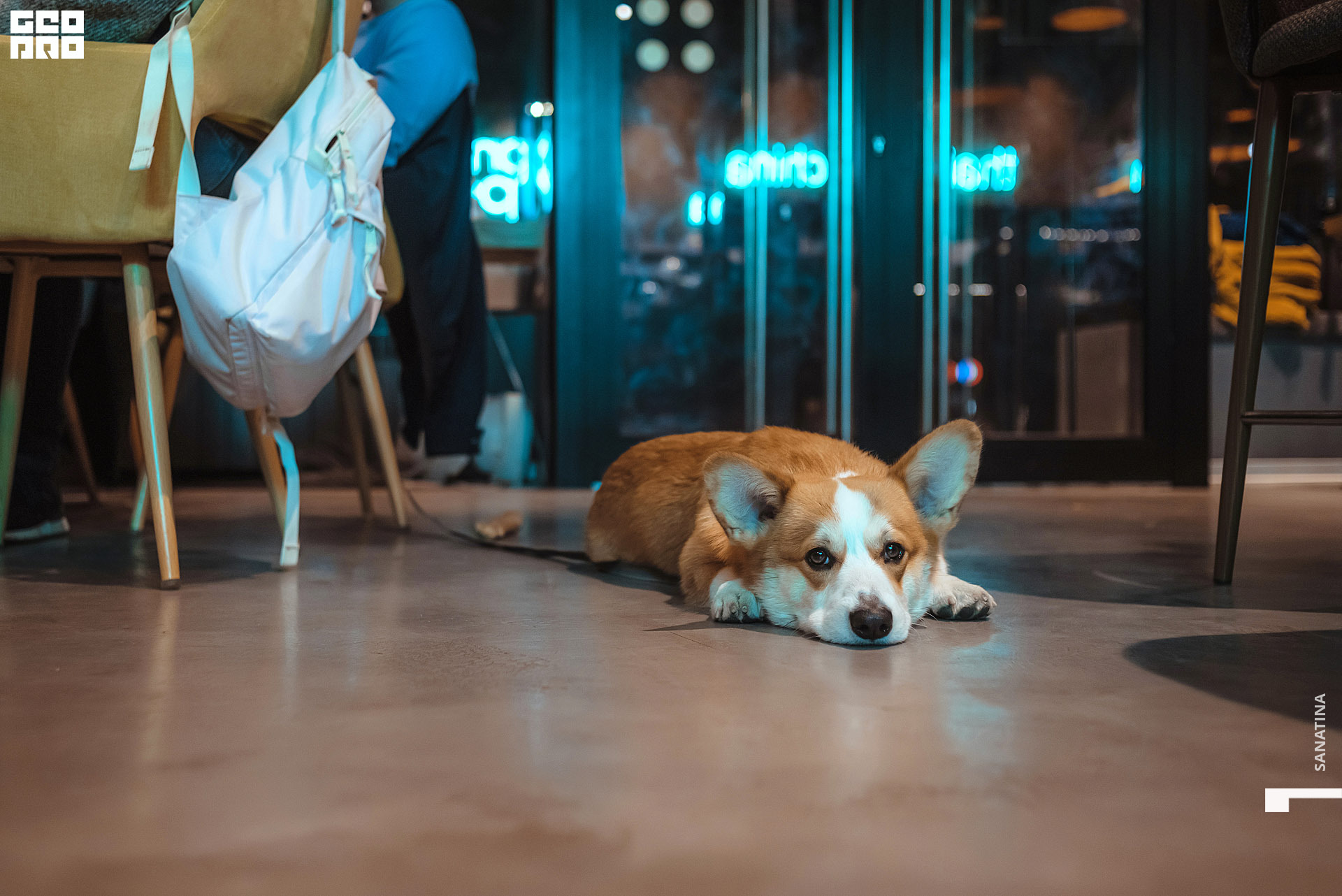 0063_2020-09-11_21-10-42 - Sanatina.jpg