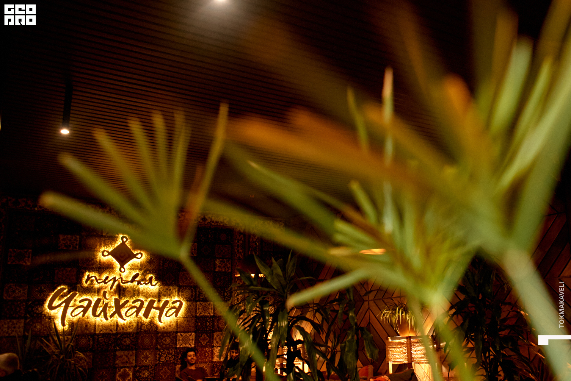 tokmakaveli 1241.jpg