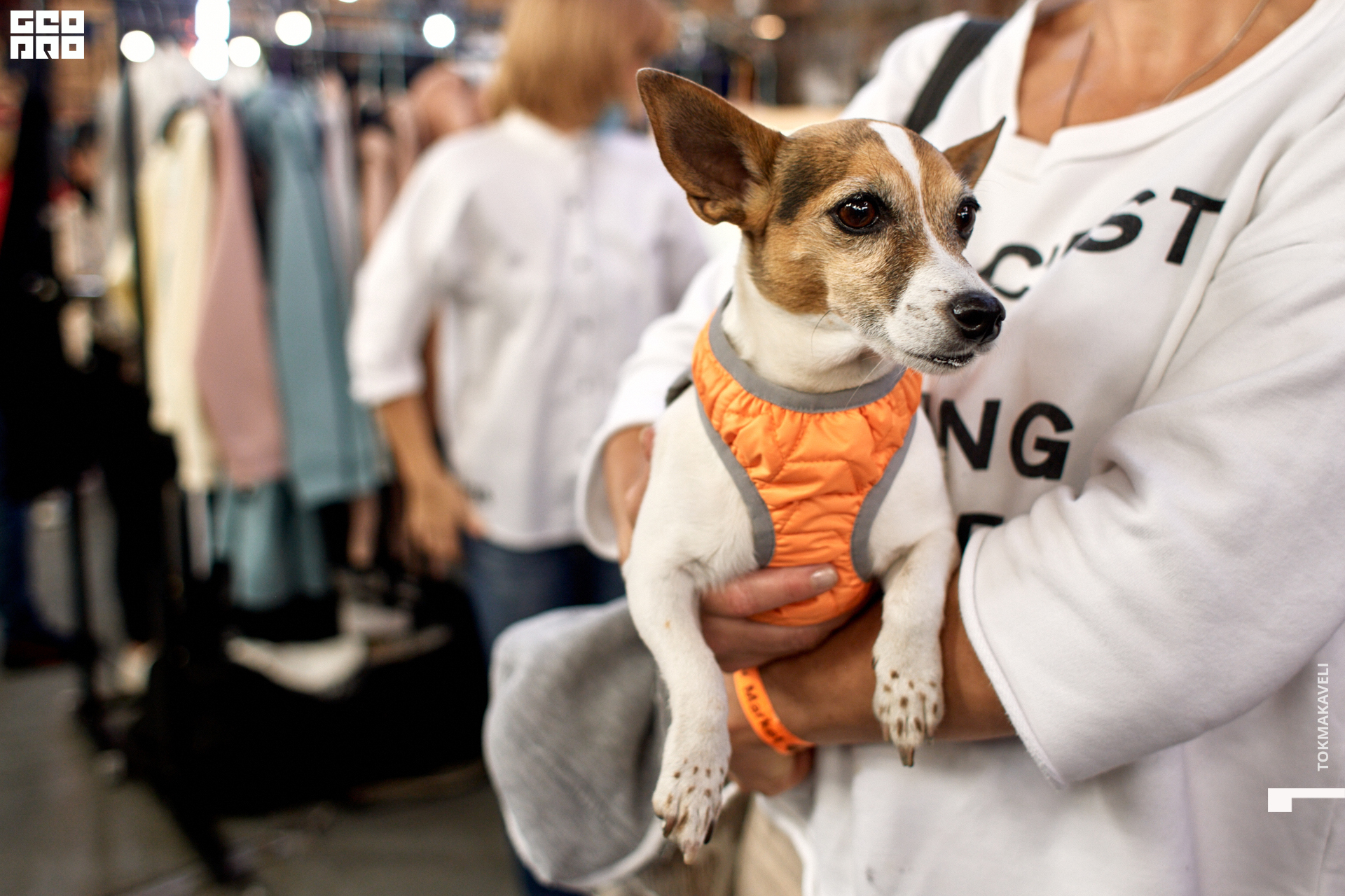 tokmakaveli 1424.jpg