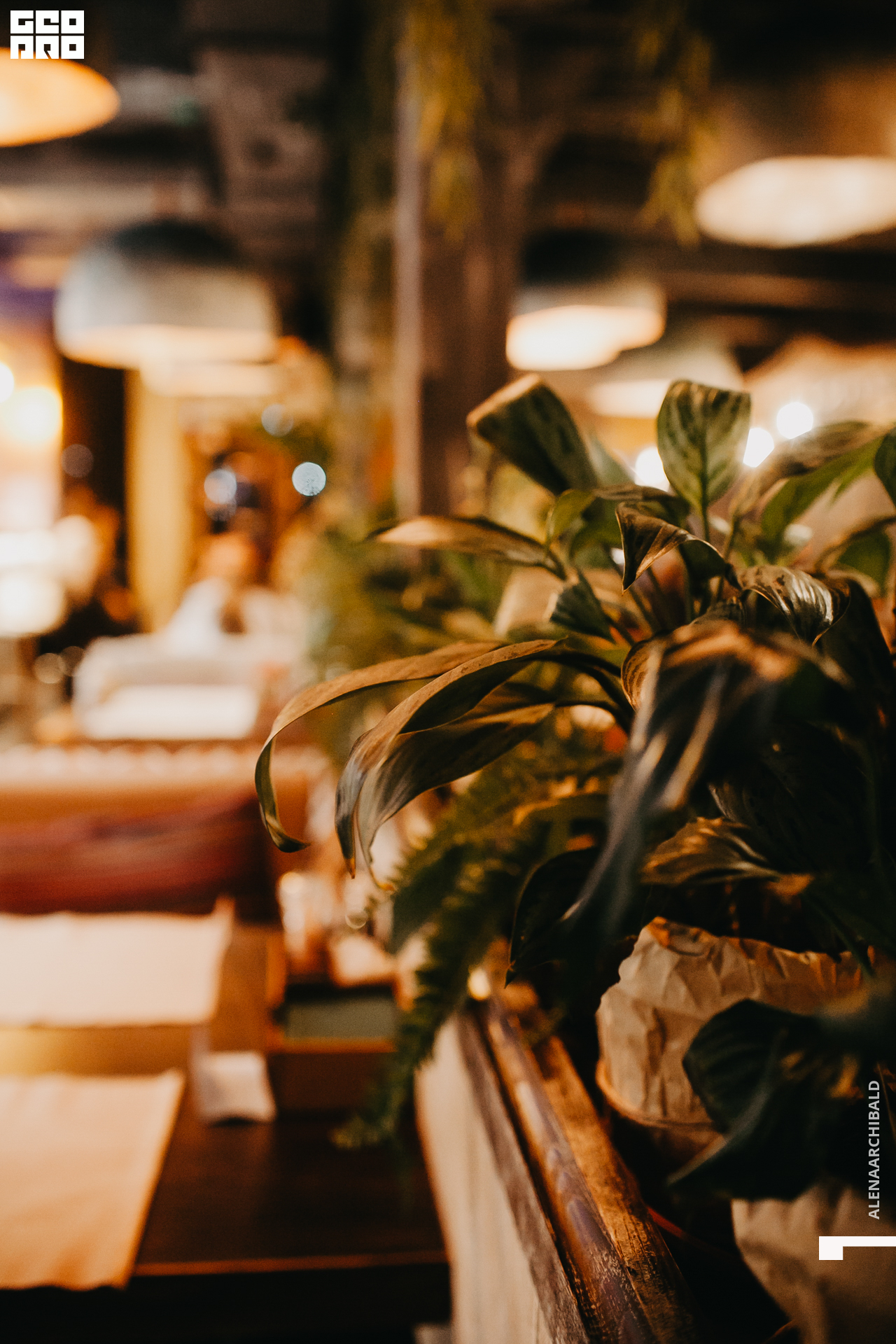 2020-09-18 21-02-43_alenaarchibald_0031.jpg