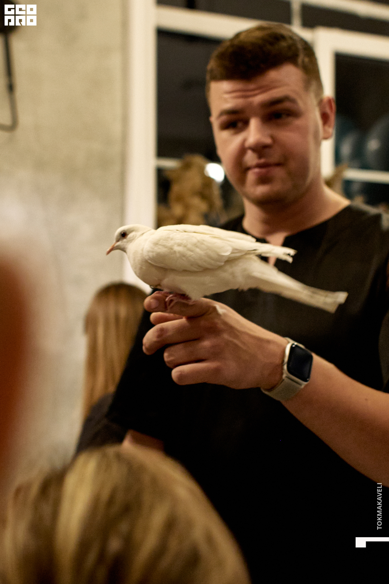 tokmakaveli 1701.jpg