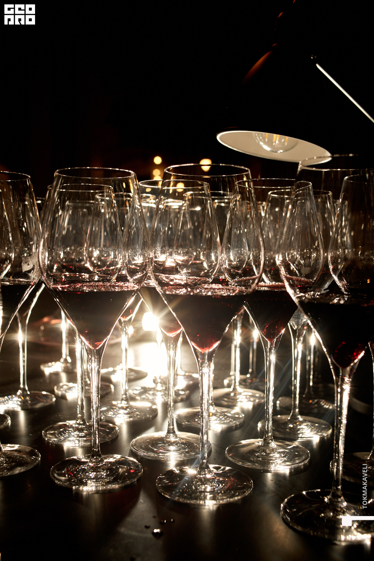 tokmakaveli 2077.jpg