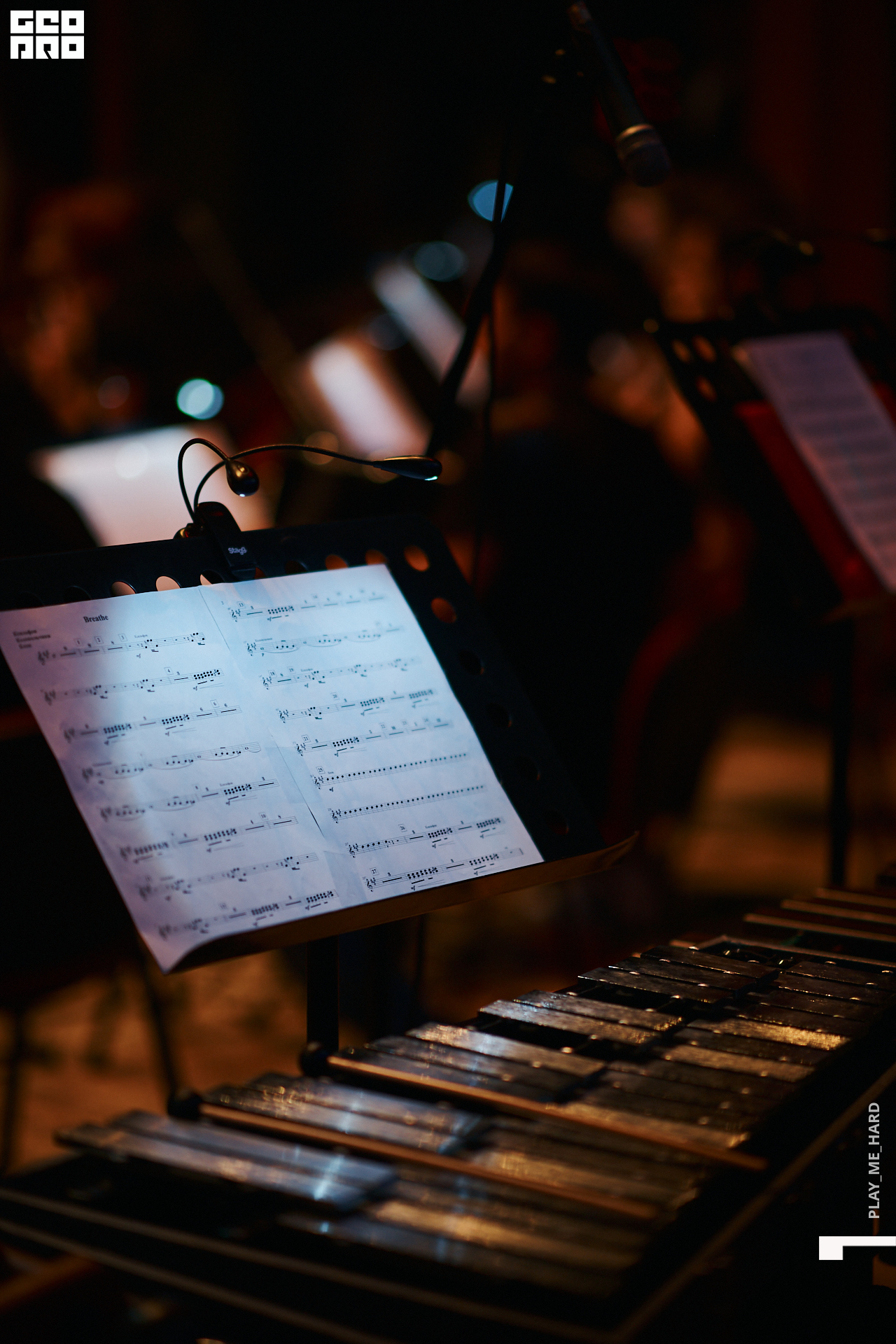 Этажи2день  272 1.jpg