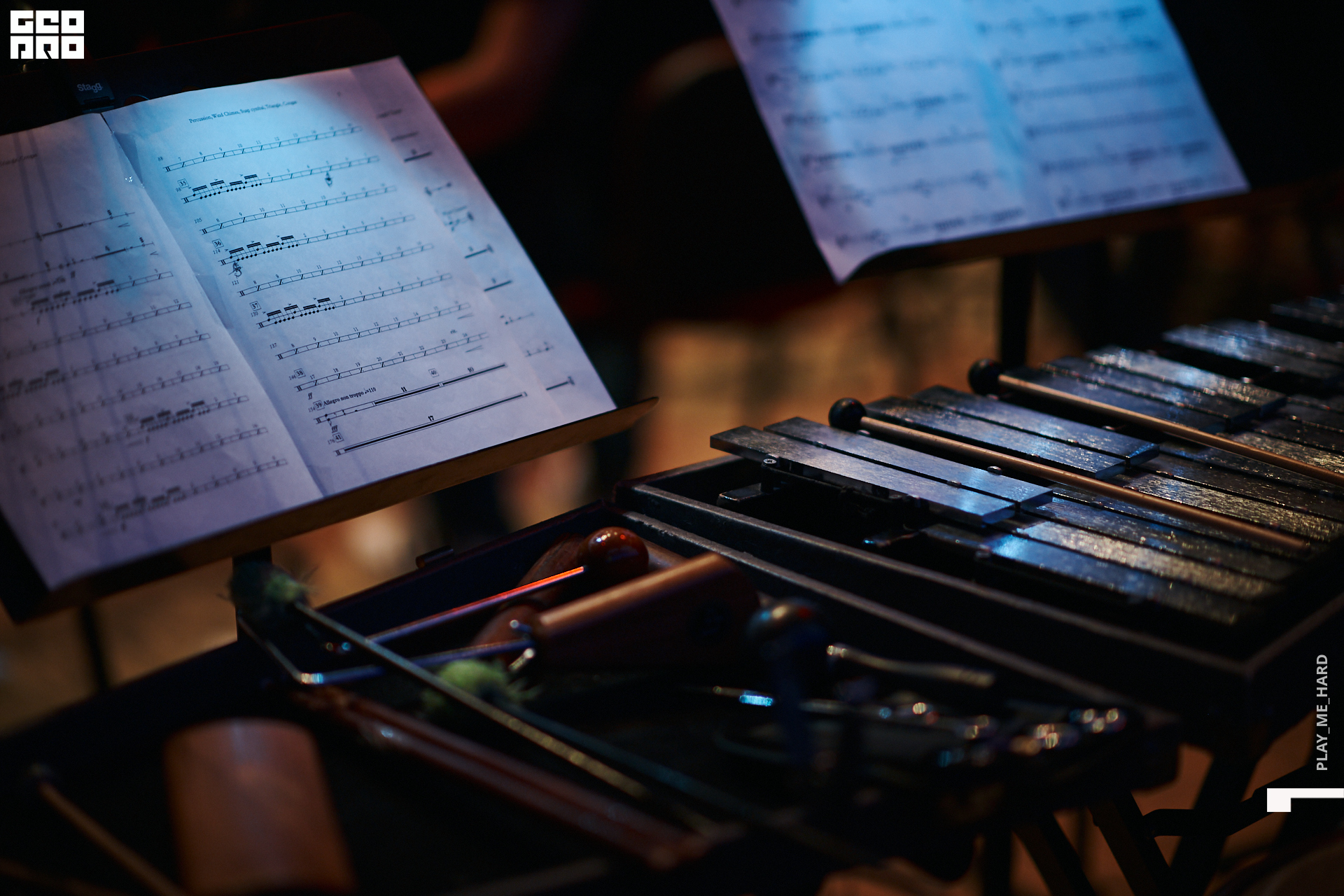 Этажи2день  285 1.jpg