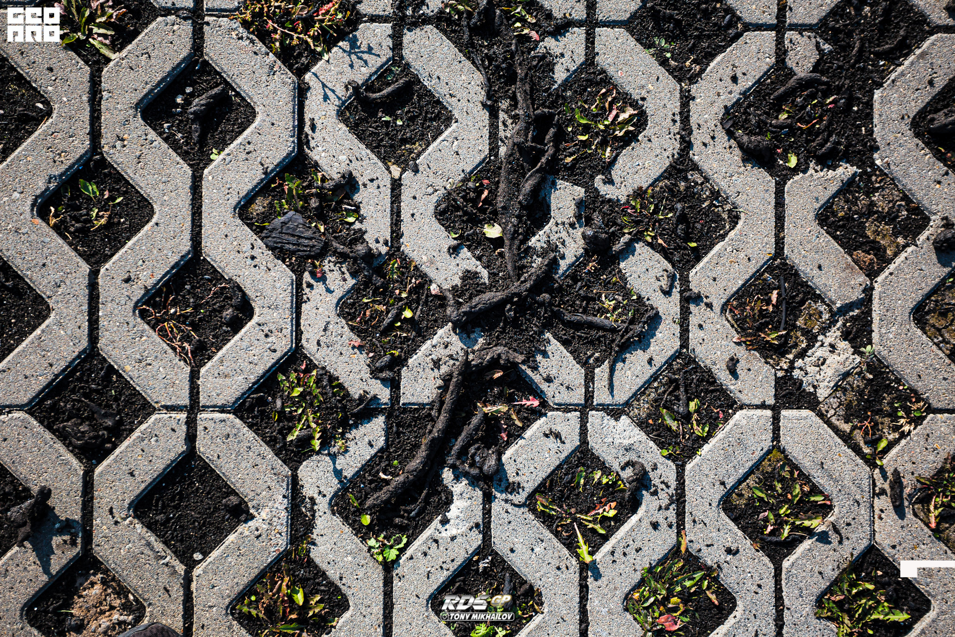 104-26-09-2020-13-46-Mikhailov - 1920.jpg