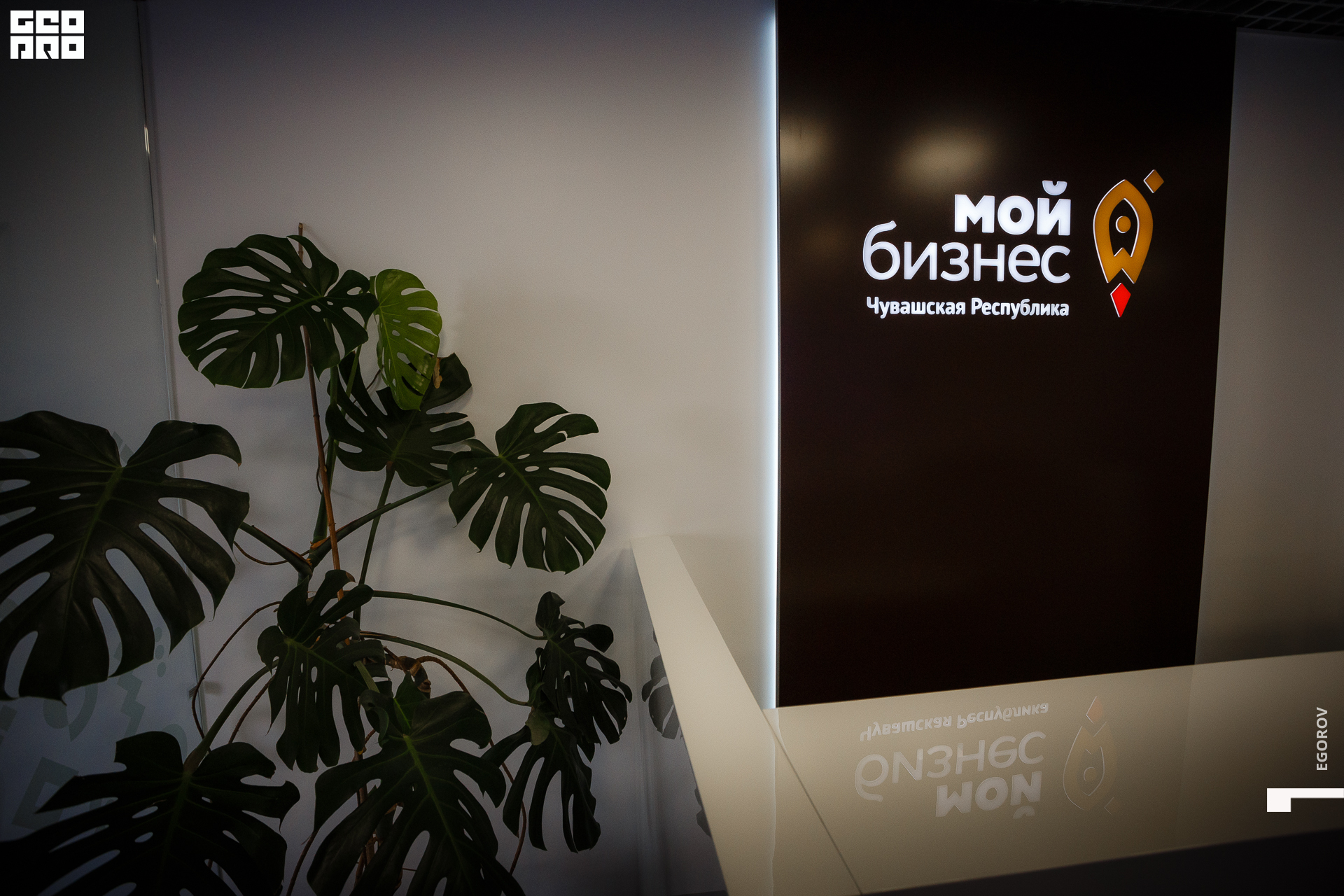 Canon EOS 6D_20200930_121627.jpg