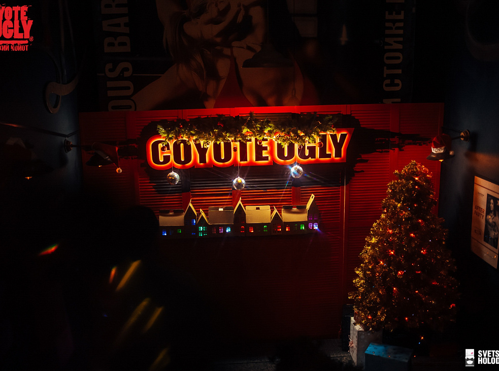 Бар Гадкий Койот