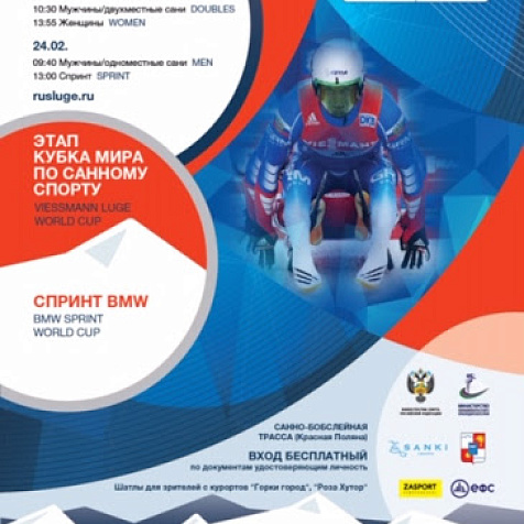 Чемпионат мира по санному спорту