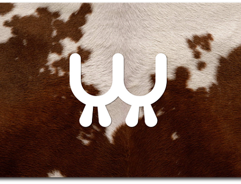 Cow Bar & Restaurant