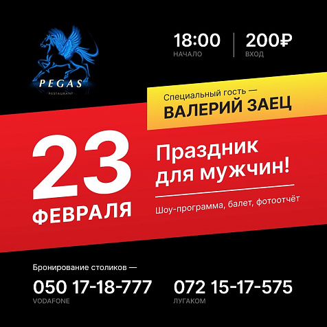 День защитника в ресторане Пегас 