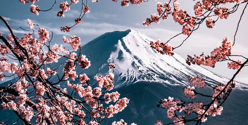 HOME / Playlist for you 