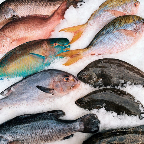 ЦЕЙЛОН SECRET GARDEN