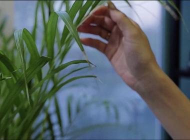 ОТКРЫТИЕ MOHITO ЕВПАТОРИЯ