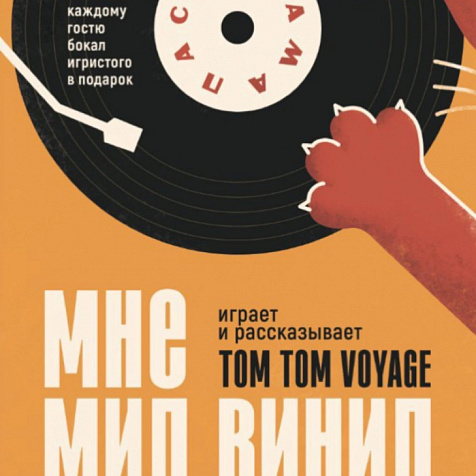 Мне мил винил