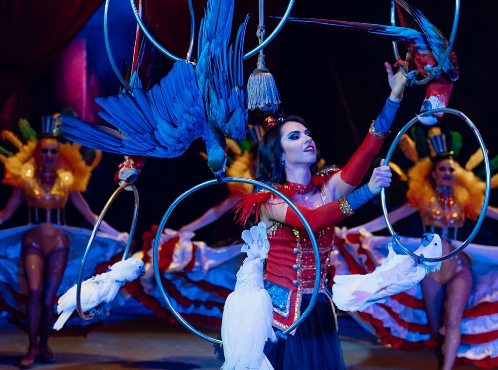 Кировский ЦИРК