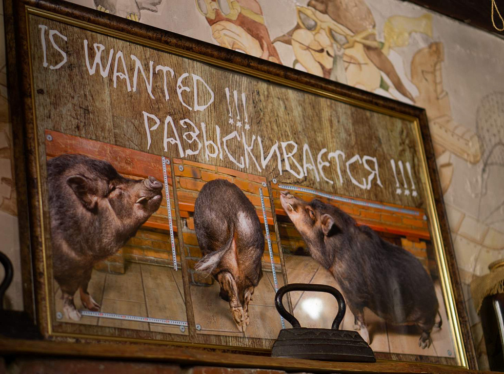 Гастро-паб "Свинья"