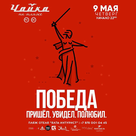 Чайка на пляже