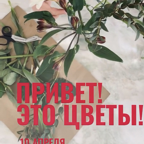 Привет! Это цветы!
