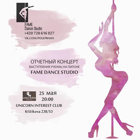 Pole Dance Party FAME STUDIO at Unicorn