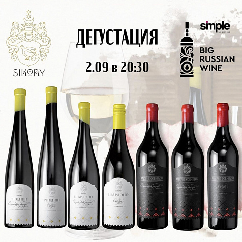 Дегустация большого русского вина