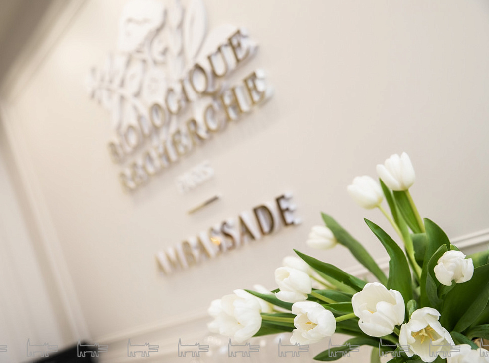 Посольство красоты BR