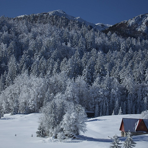 УДИВИТЕЛЬНАЯ ХОРВАТИЯ