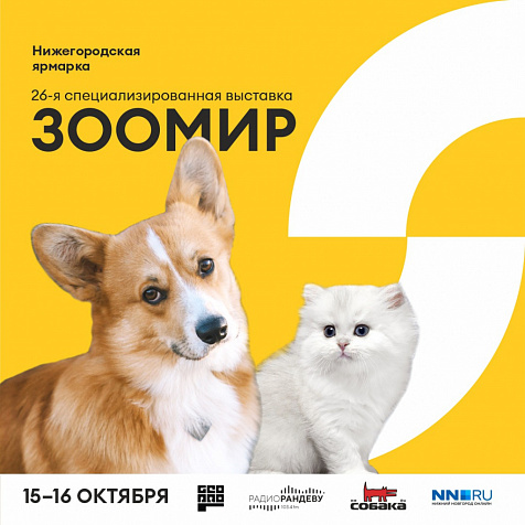 ВЫСТАВКА «ЗООМИР»