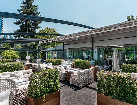 Плакучая Ива