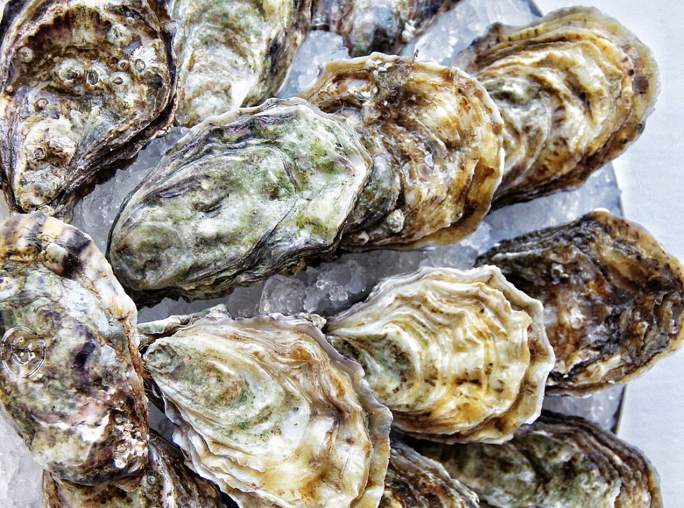 Плакучая Ива