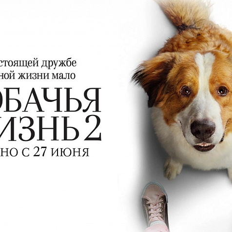 Собачья жизнь 2 (12+) 